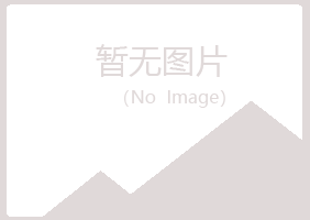 吐鲁番夏岚冶炼有限公司